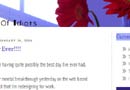 Museum of Idiots blog